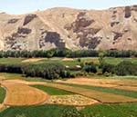 Ministry to Deliver 10,000 Tons of Seed to Farmers
